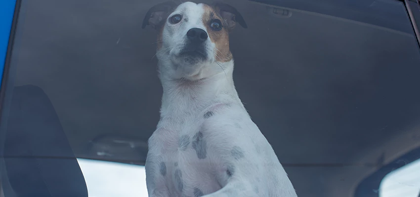 Car Lockout Solutions in South Monrovia Island, California